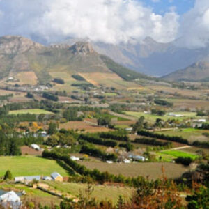 Stellies Meeting Saturday, June 27th, 2026 10:00 AM