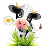 handmade gifts from women-owned stores South Africa dairy cheese food